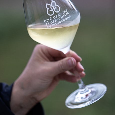1ère pierre de la Cité à Chablis - Cité des vins et des Climats de Bourgogne