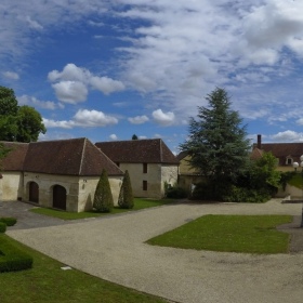 Cité à Chablis : Une seconde vie pour le cèdre du Petit Pontigny