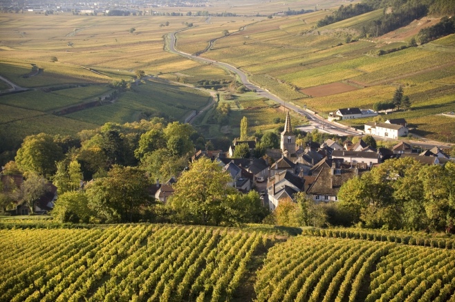 Vignoble de la cote de Beaune - Pernand-Vergelesses ©BIVB / www.armellephotographe.com
